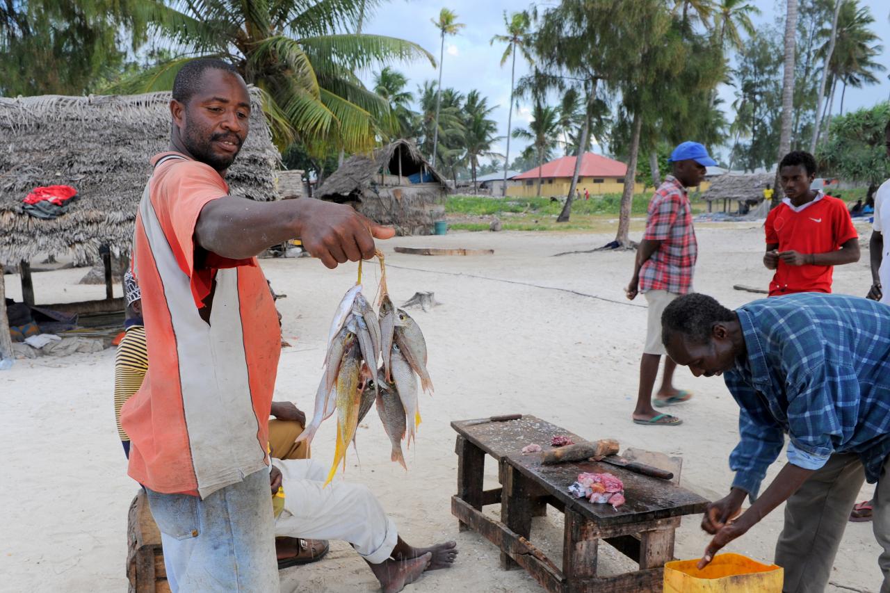 Retour de pêche au marché de Nungwi