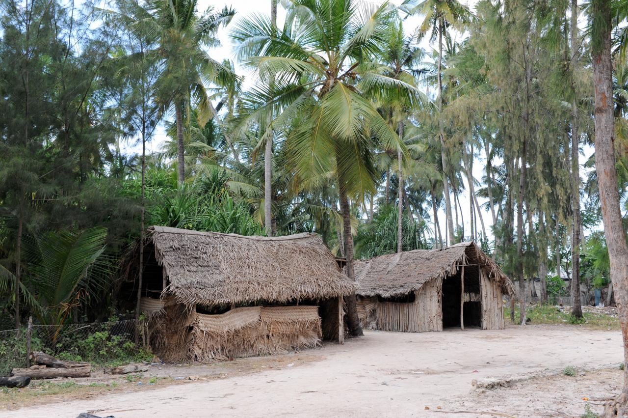 Cases du village de Nungwi