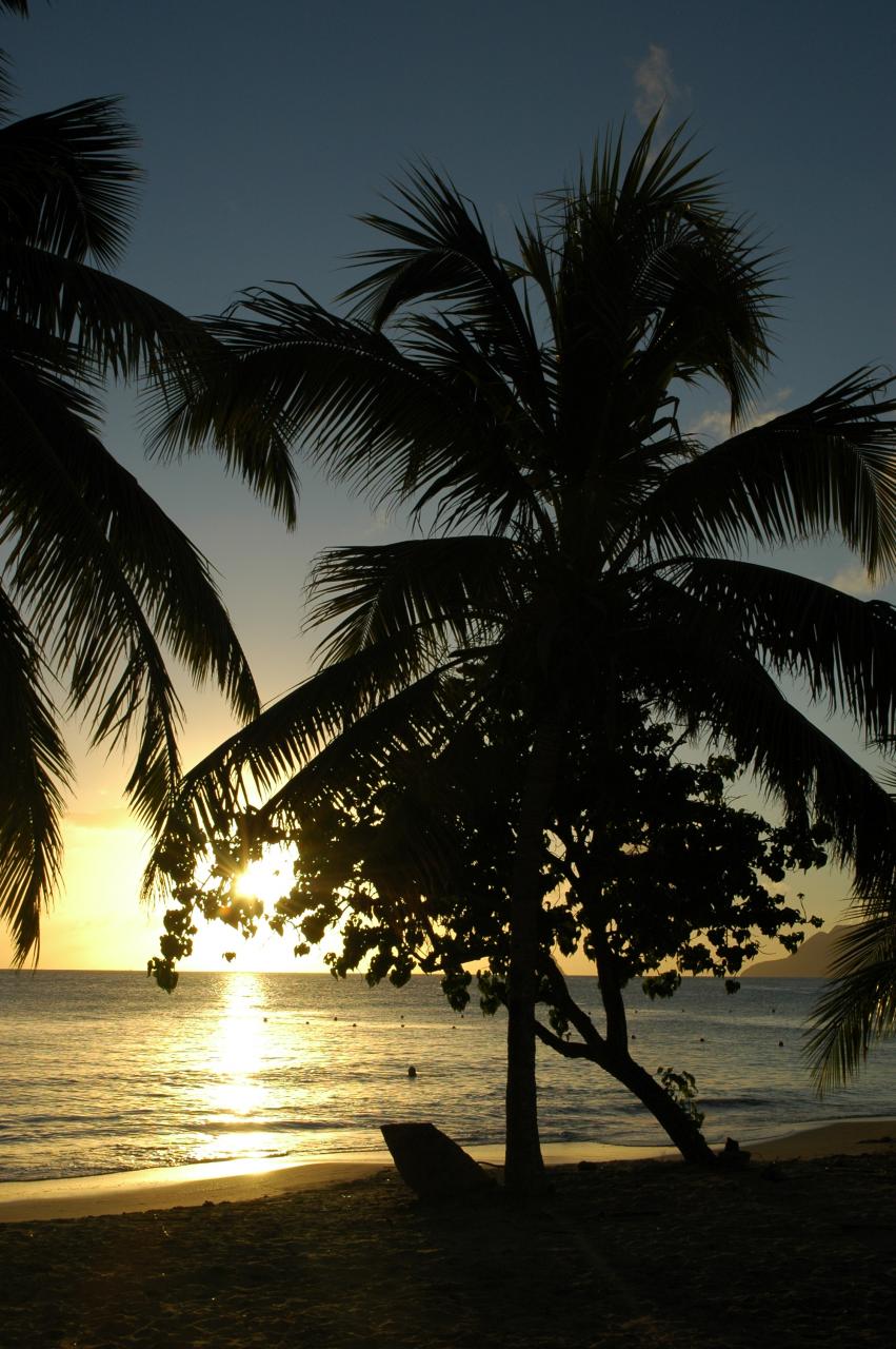 Martinique (Décembre 2007)